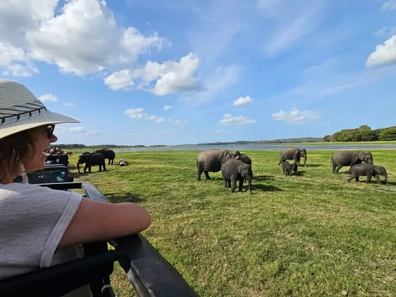 Sri Lanka Discovery Tour
