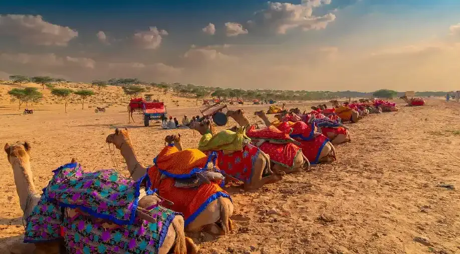 Mandawa to Bikaner