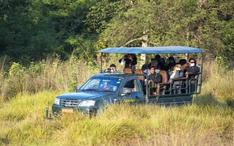 Chitwan Jungle Activities – Wildlife Experience