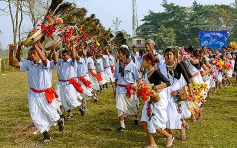 Pokhara to Chitwan – Jungle & Tharu Culture