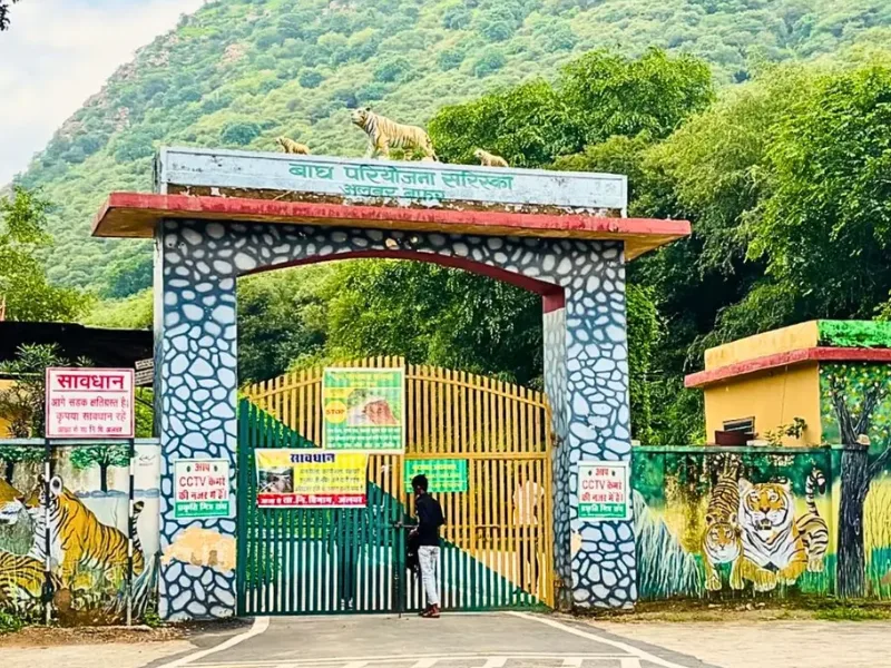 Sariska Tiger Reserve – Alwar